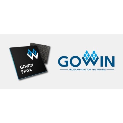 Gowin EDA (FPGA Designer) software