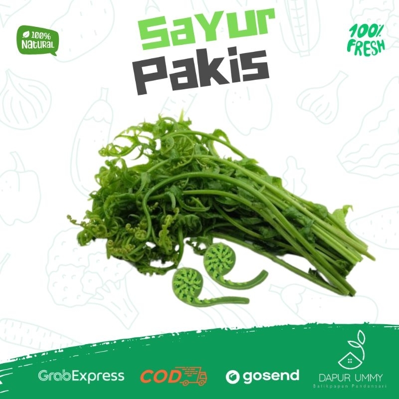 

Sayur Pakis Seger per ikat