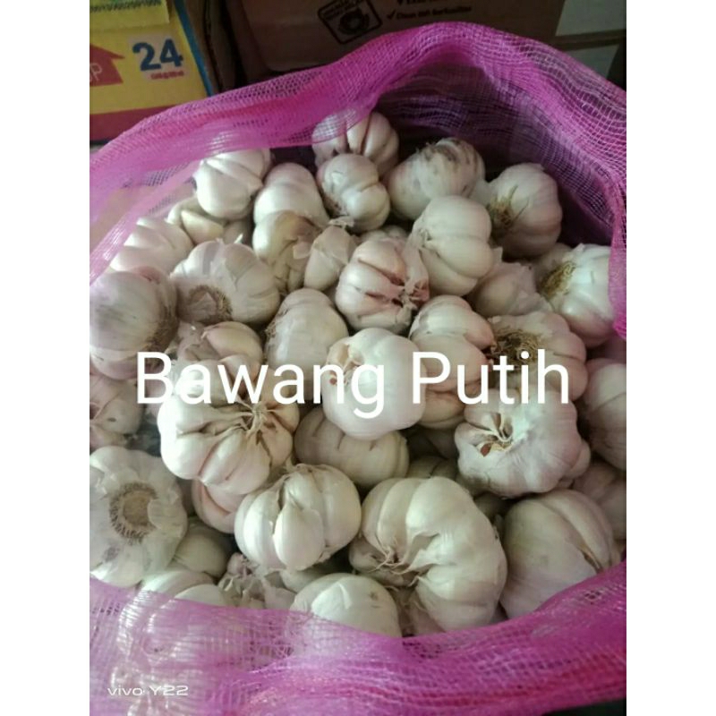 

Bawang Putih serbaguna>Bawang putih bumbu dapur>Bawang rempah