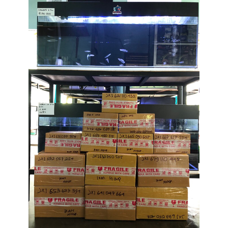 

Kardus Paket YS Single 16-19