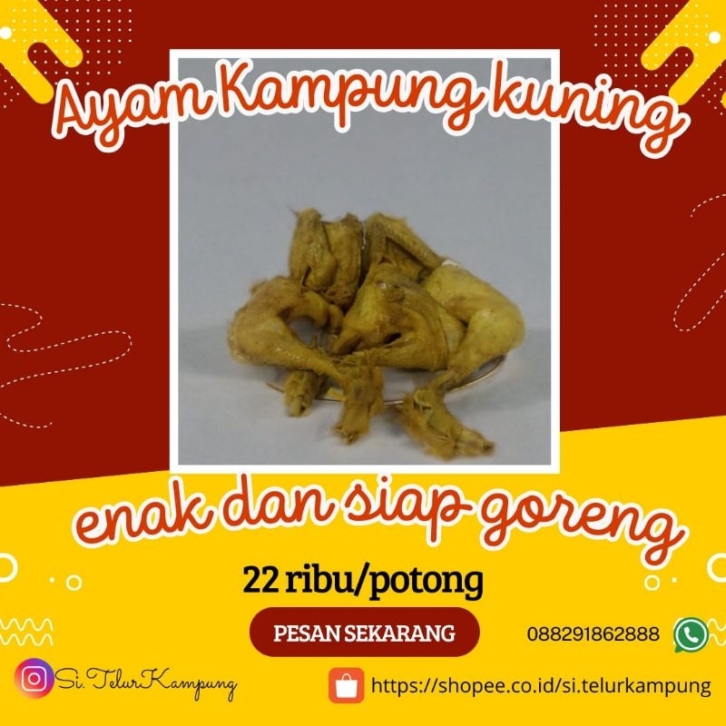 

Ayam Kampung Kuning