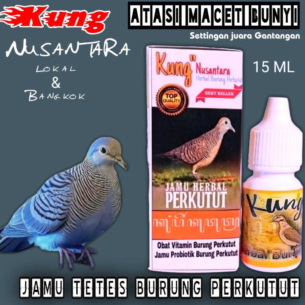 JAMU BURUNG PERKUTUT LOKAL DAN BANGKOK KUNG NUSANTARA HERBAL JAMU BURUNG PERKUTUT LANGSUNG RAJIN BUN