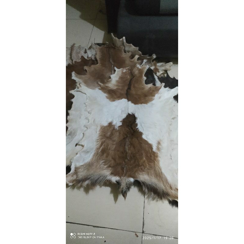 kulit kambing lembaran utuh