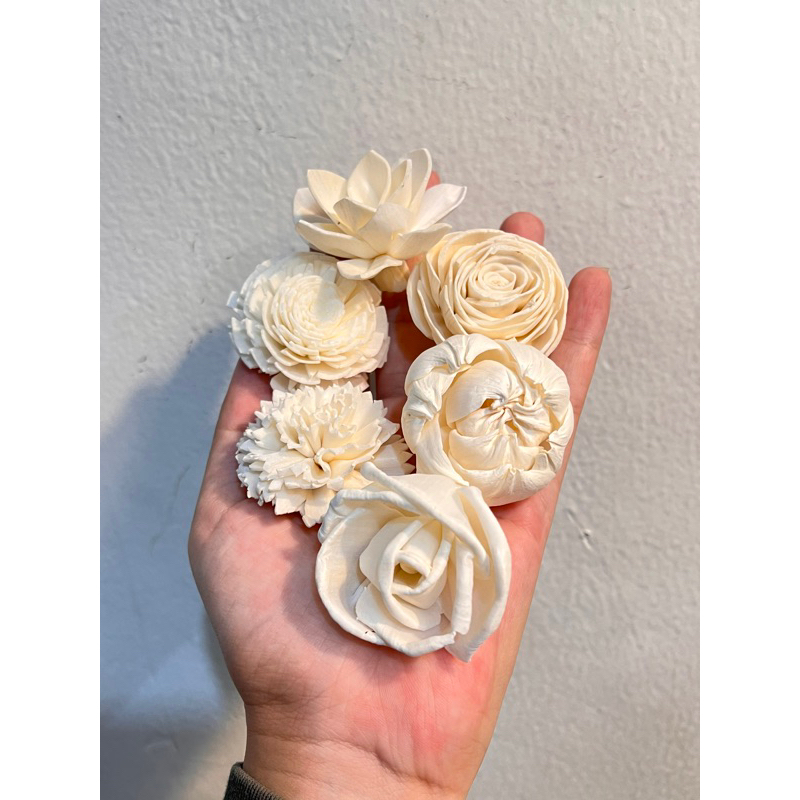 Sola wood flower 4-6cm / Bunga Sola Difuser Hiasan Dekorasi Rumah