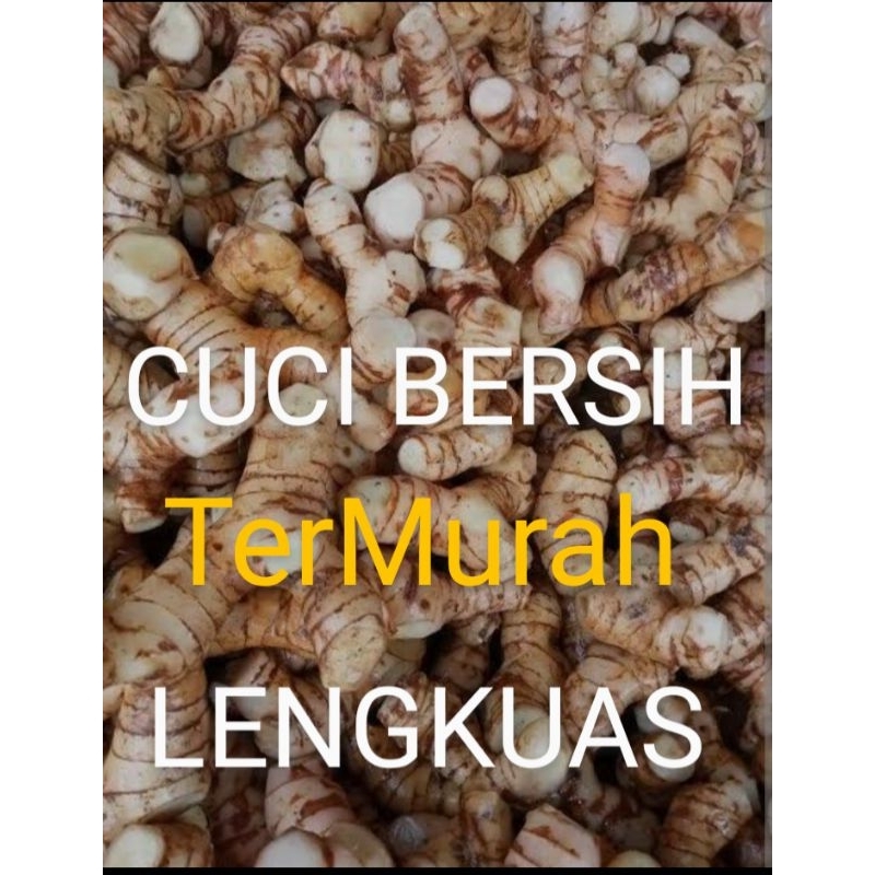 

LENGKUAS SEGAR | LENGKUAS MURAH | LAOS | REMPAH REMPAH |