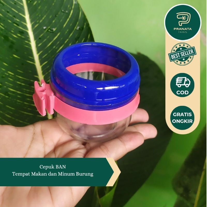 Cepuk BAN, Cepuk Makan dan Minum Burung Anti Tumpah Untuk Burung Perkutut, kenari, dsb.