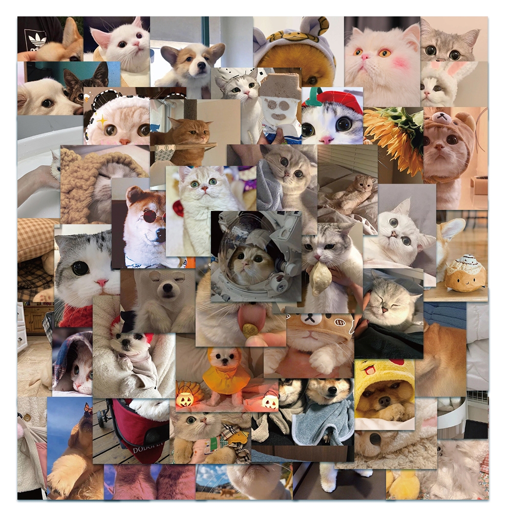 

COD！48PCS Anjing kucing lucu stiker untuk Buku Tempel/Buku Harian/HP/Dekorasi Laptop/Sticker Helm Tahan Air Vinil/Stiker Tablet Ponsel stiker tahan air berperekat