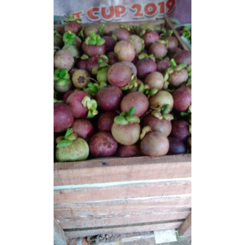 

manggis manis segarr