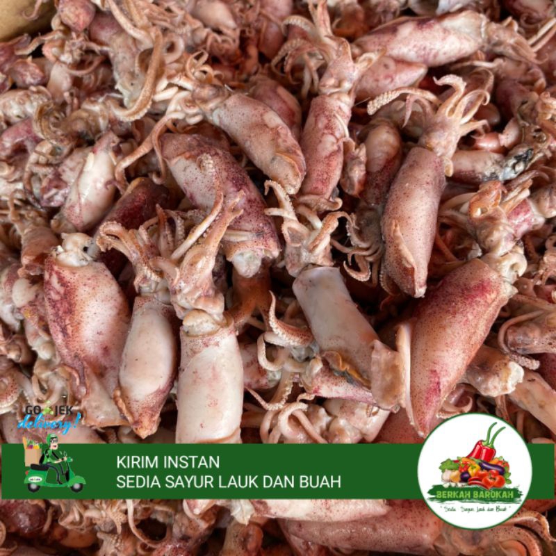 

CUMI ASIN UKURAN SEDANG 250 GRAM