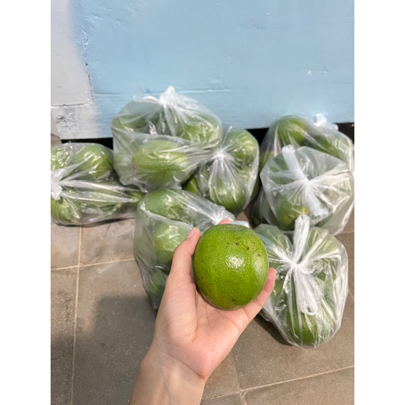 

ALPUKAT MENTEGA ISI 7-8 BUAH