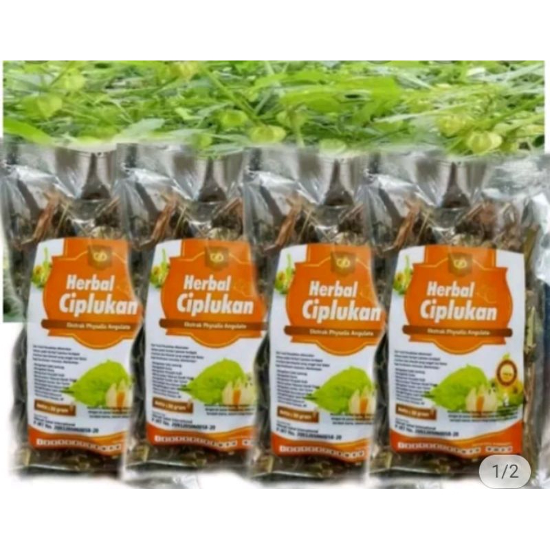 

Paket 5 teh seduh daun ciplukan//Teh herbal daun ciplukan isi 50 gram