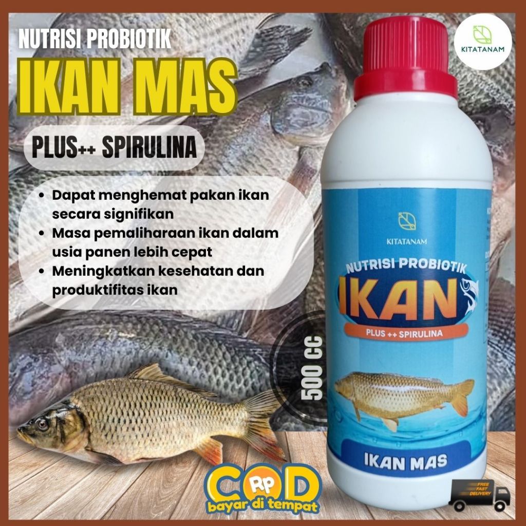 Vitamin Ikan Mas, Nutrisi Probiotik Ikan Mas, Kitatanam
