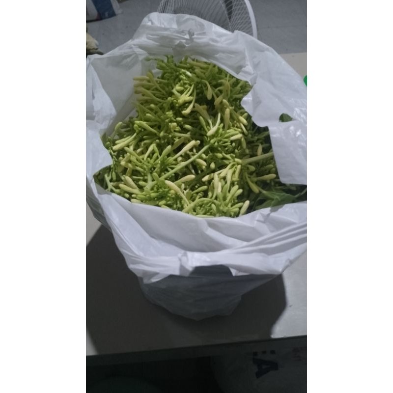 

kembang kates 200 gram fresh