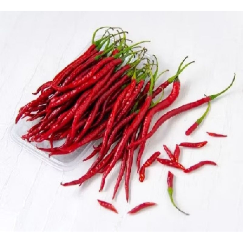 

CABE MERAH KERITING SUPER 1/2