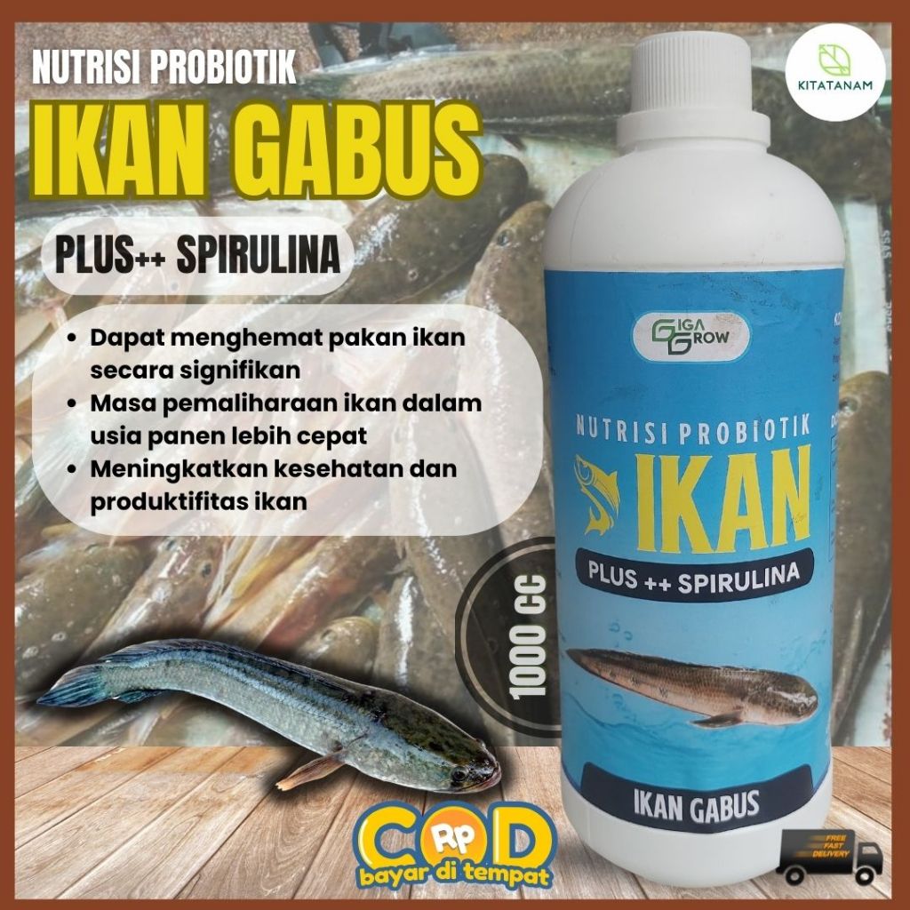 Vitamin Ikan Gabus, Nutrisi Probiotik Ikan Gabus, GigaGrow