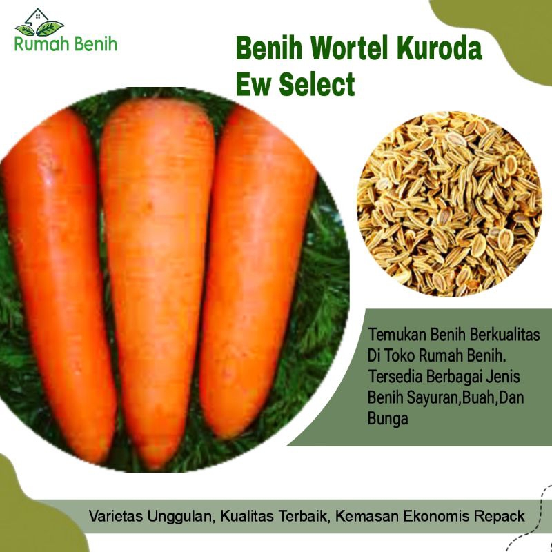 Benih Wortel Kuroda Ew Select F1 / Bibit Benih Wortel Unggulan / Biji Benih Wortel Kuroda / Benih Ta
