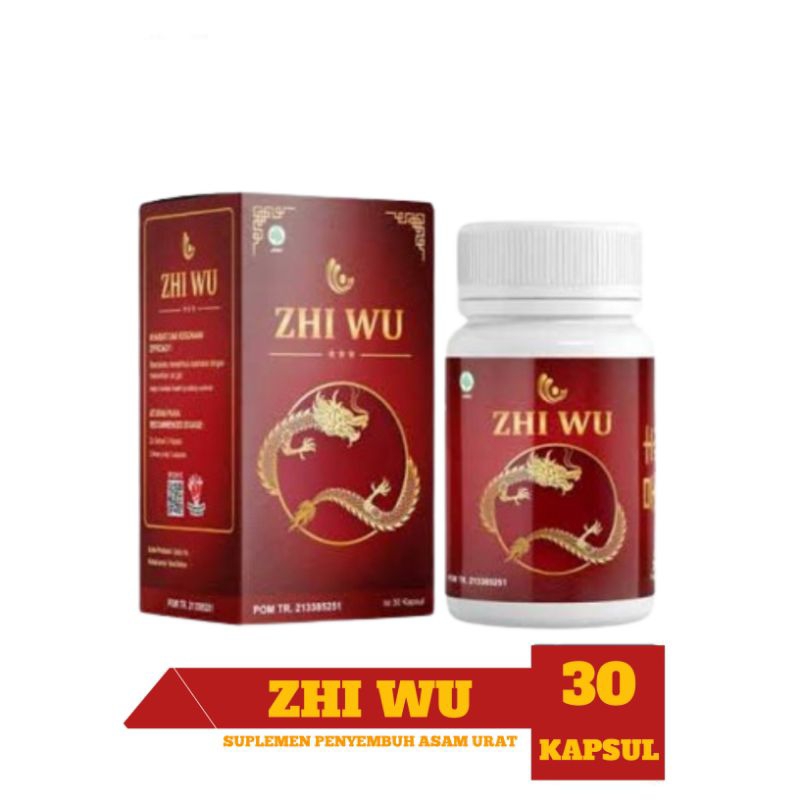 Zhi Wu 100% Asli Original Obat Herbal China Atasi Syaraf Kejepit Pengapuran Dan Nyeri Sendi Tulang L