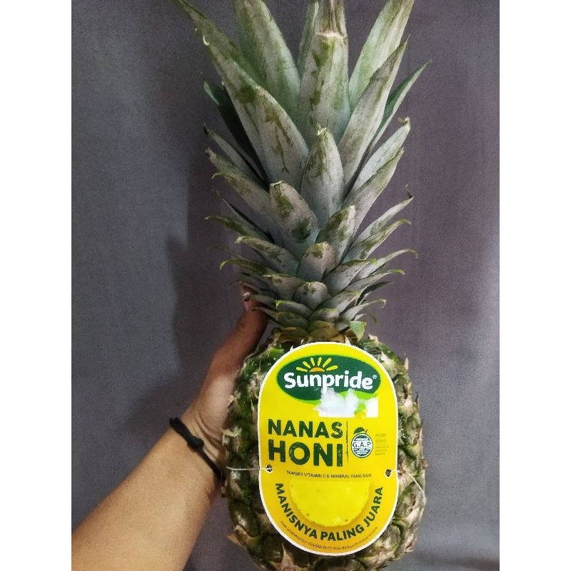 

Nanas golden honey super manis/pcs