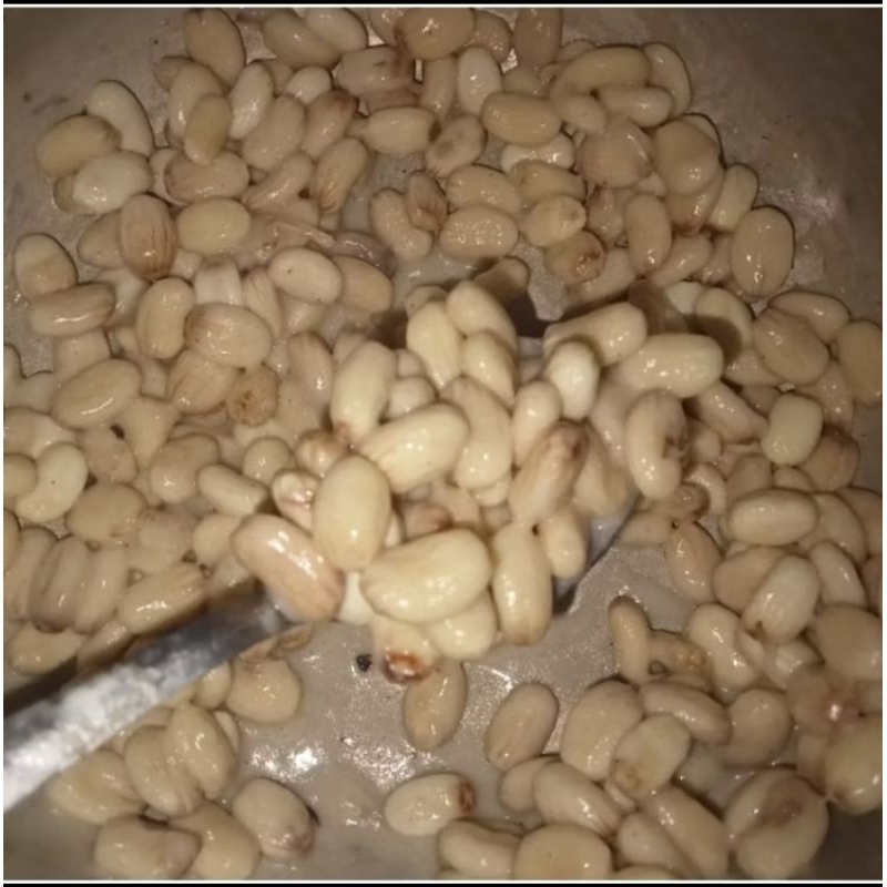 

Biji Jarak
