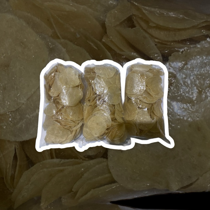 

OPAK SINGKONG