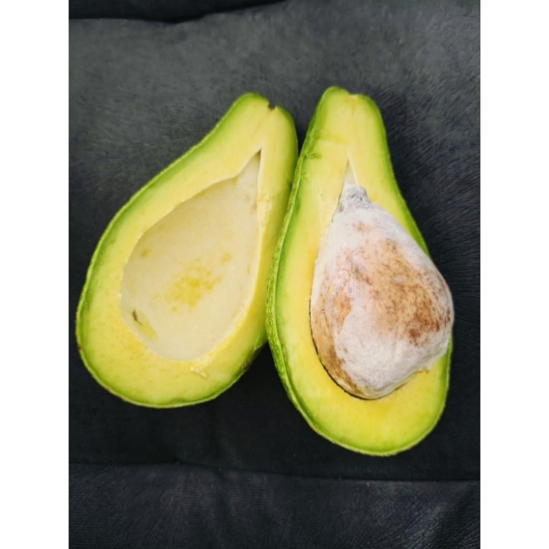 

AlpukatMentegaLokalBoyolali