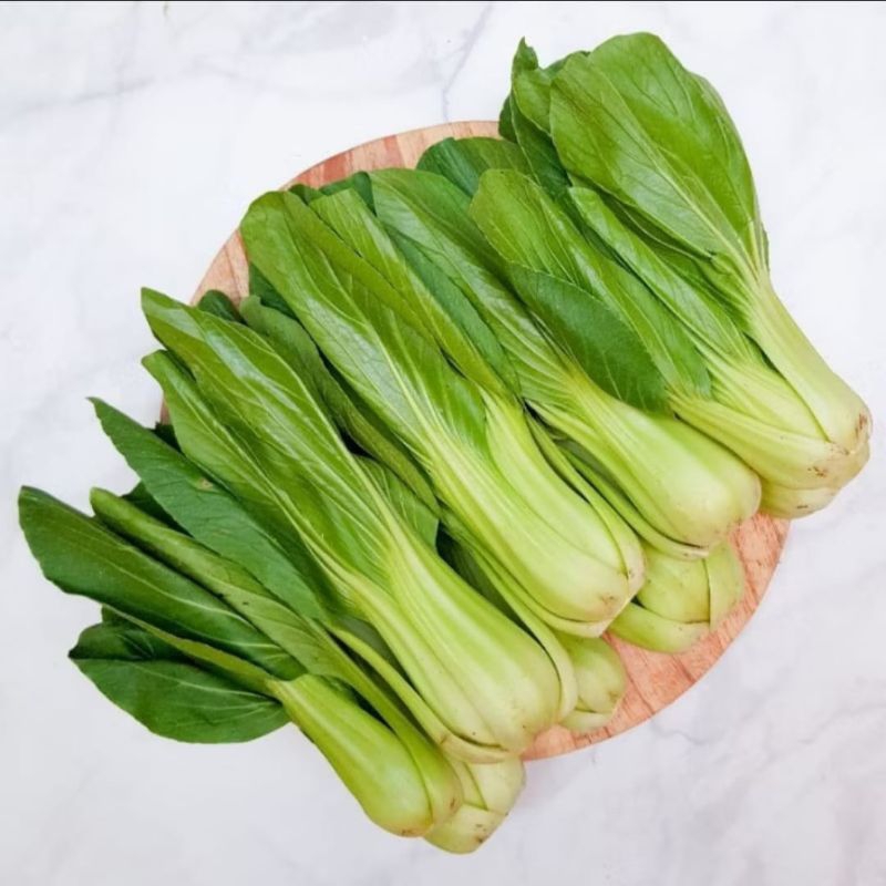 

sayur sawi pendek hijau segar