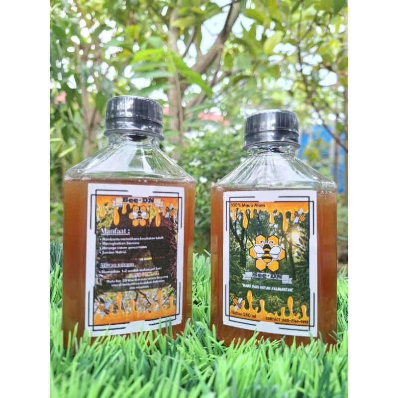 

Madu Murni Hutan Kalimantan Bee✓DN 100% Tanpa Campuran (700g)