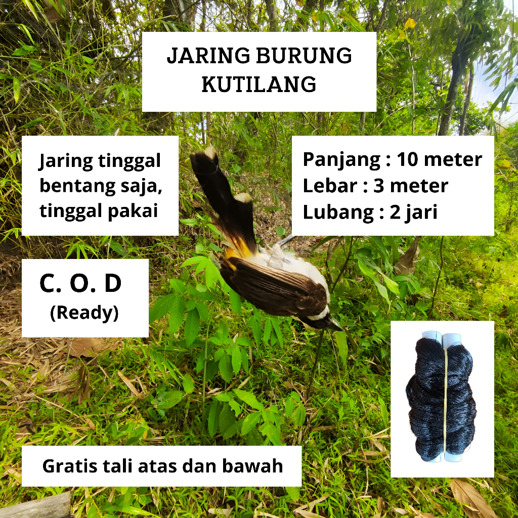JARING BURUNG KUTILANG JARING BURUNG SIAP PAKAI BURUNG JARING MONTANA JARING BURUNG KACER JARING