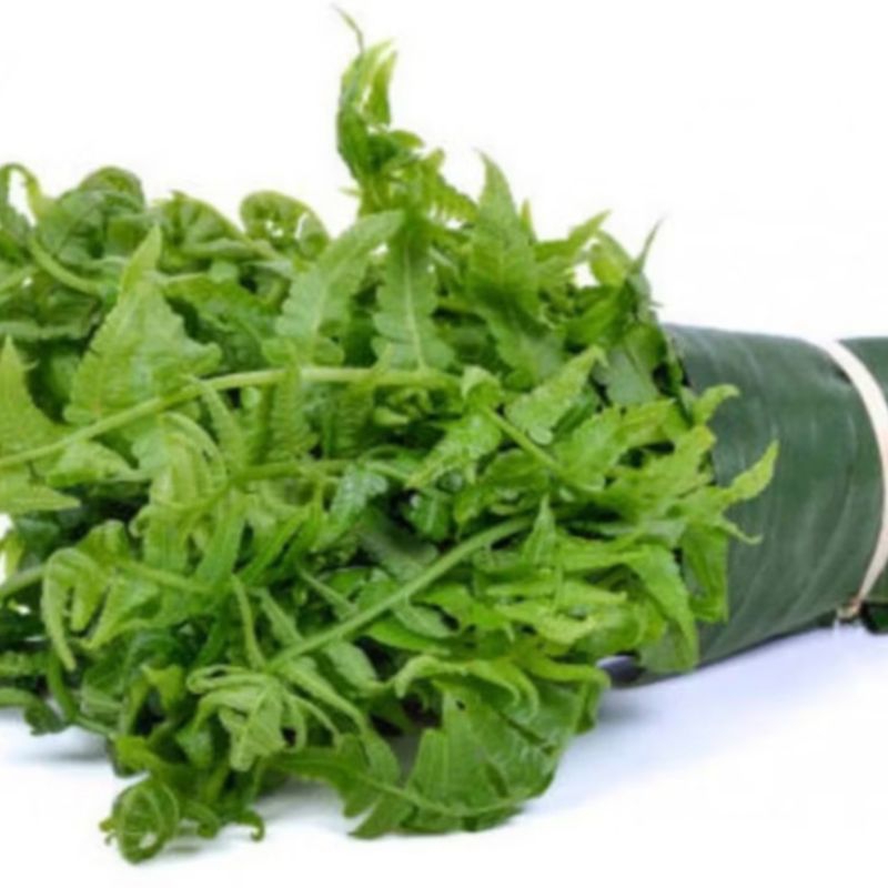 

Ready pakis sayur segar /500 gram pakis sayur olahan masakan terlaris
