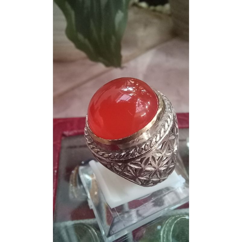 

Natural Anggur Rafflesia Orange HQ