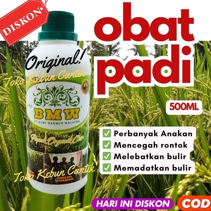 (PROMO) POC BMW 500ML - Obat Cair Menambah Bobot Padi dan Meningkatkan Kualitas Padi, Membantu Padi Cepat Panen dan Memperbanyak Anakan Padi