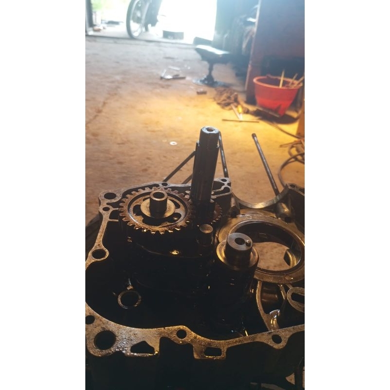 rasio tiger set krengkes