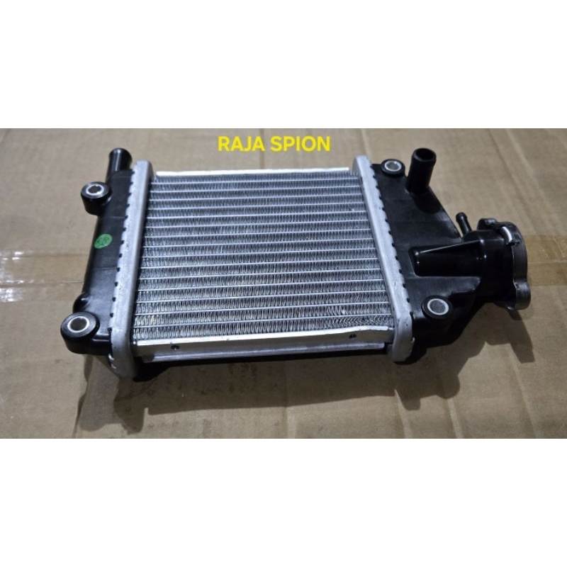 Radiator Vario 110/radiator Vario old