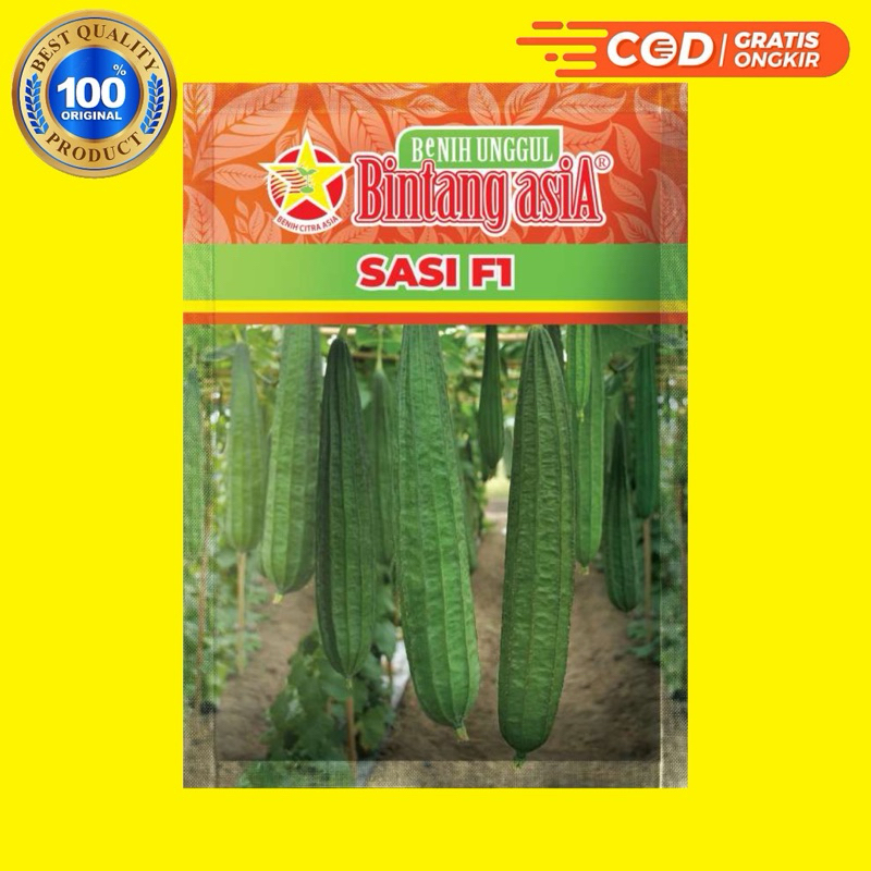 Benih Oyong Gambas SASI F1 - Bintang Asia