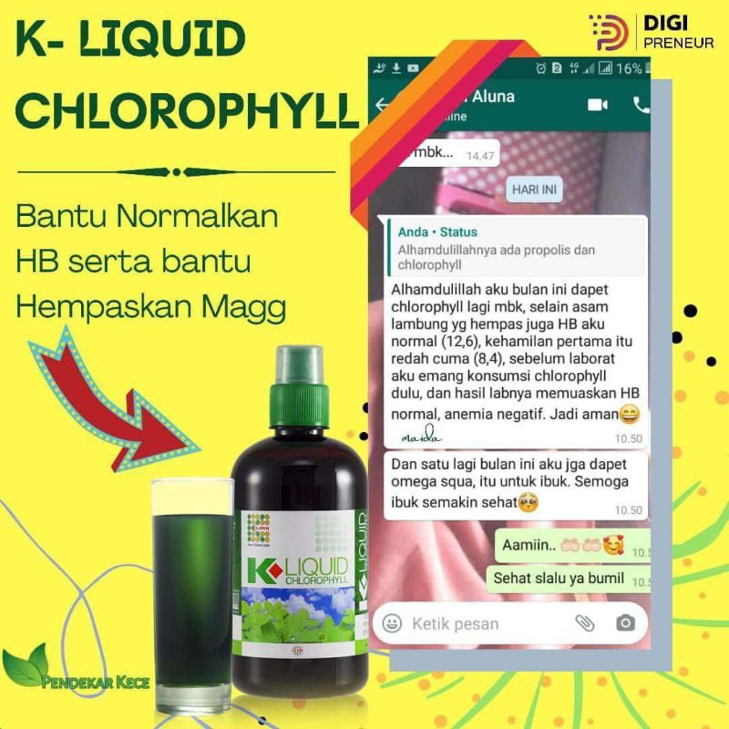 K-Liquid k-link klorofil,K-Liquid k-link kloropil