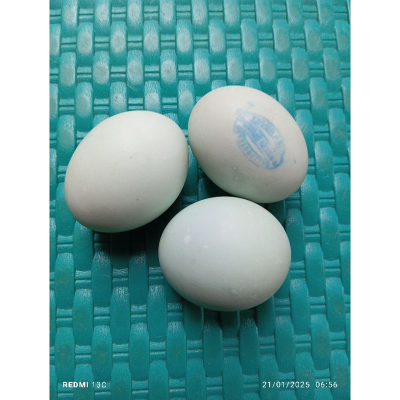 

Telur Asin Original Isi 3pcs