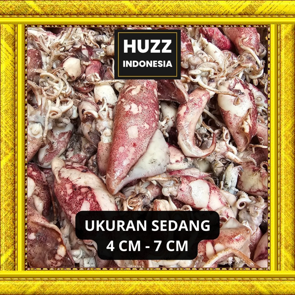 

250gr Cumi Asin Rebus Kering Kualitas Super Termurah Ukuran Sedang 4 - 7cm