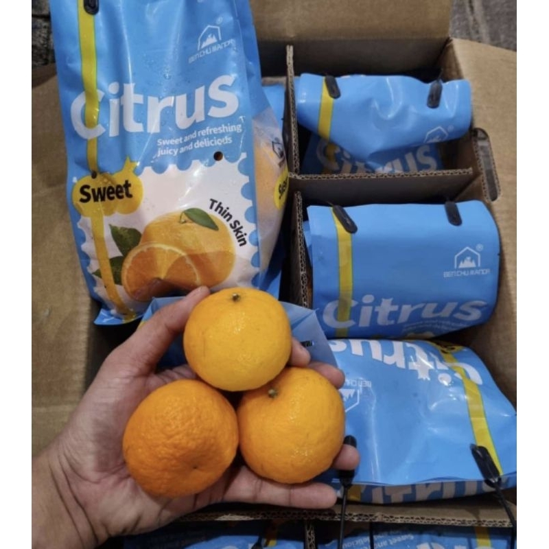 

Jeruk Citrus Manis Segar Fresh 1 Pak