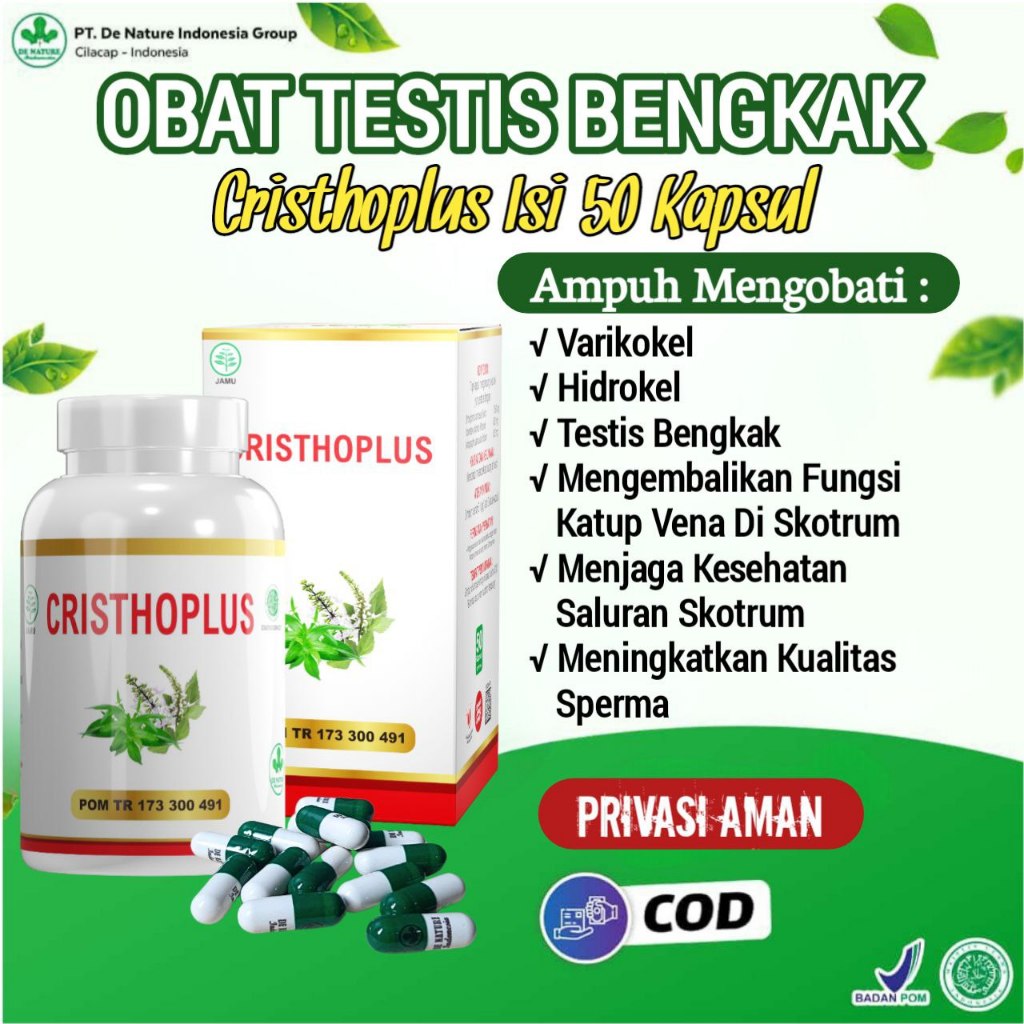 Obat Varikokel Ampuh | Orchitis | Buah Zakar Bengkak Sebelah Kenan | Buah Zakar Bengkak Kiri Sakit N