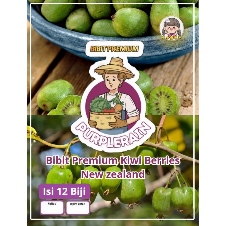 Bibit Premium Kiwi Berries New Zealand |Kiwi Mini |Benih Kiwi Berries