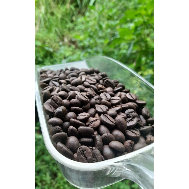 

Roasbean Robusta Temanggung