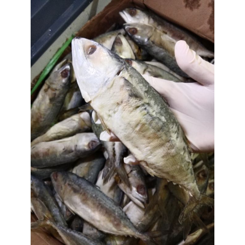 

1000gr ikan asin peda