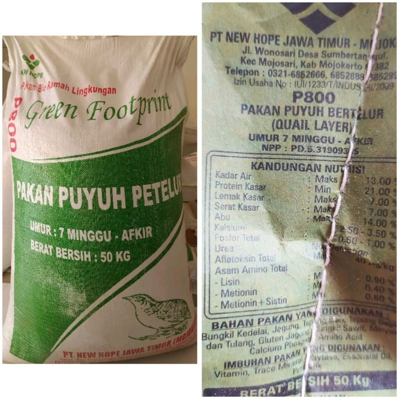 Pakan Pur Puyuh Petelur New hope P800 Untuk puyuh ras Petelur 1kg