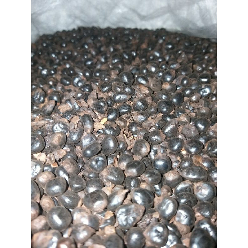 

1kg roasted jagung spesial