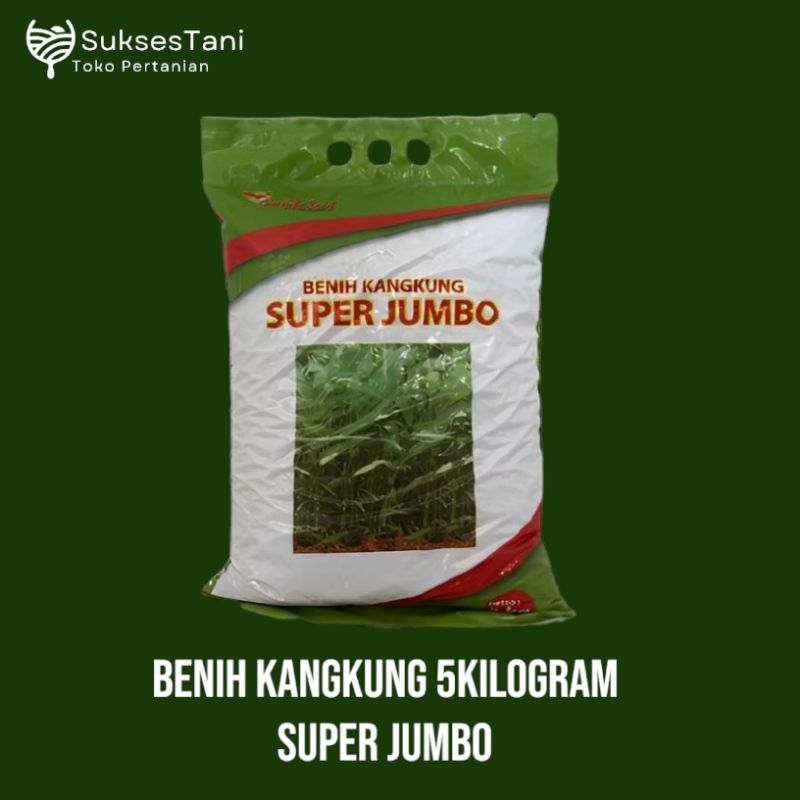 BENIH BIBIT KANGKUNG SUPER JUMBO 5 KG