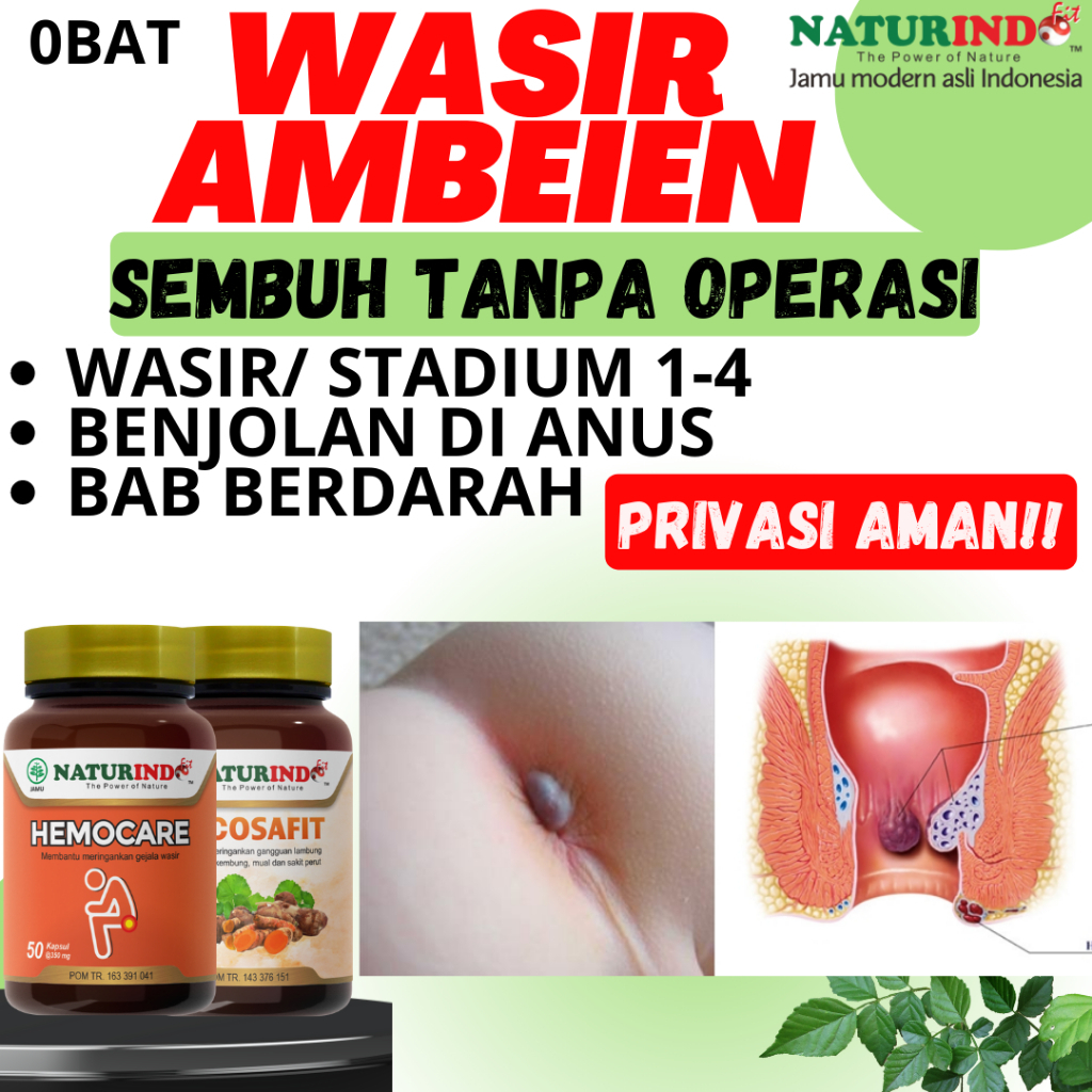 Obat Wasir Ambeyen Hemoroid Bab Berdarah Benjolan Pada Anus Ambeien Luar Dan Dalam Hemocare