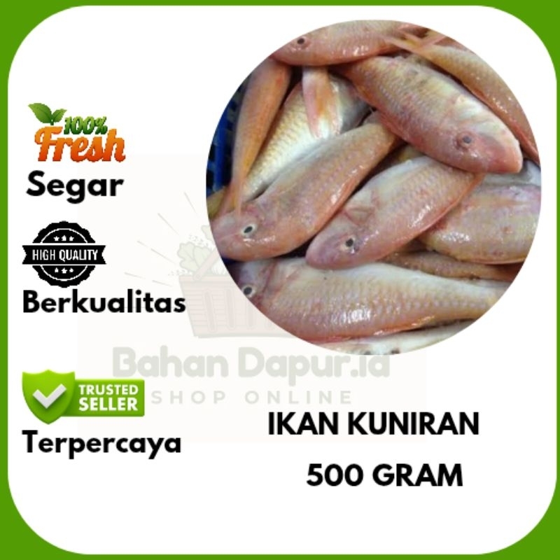 

IKAN KUNIRAN BERSIH sudah dibersihkan | 500 GRAM | Bahan Dapur .id
