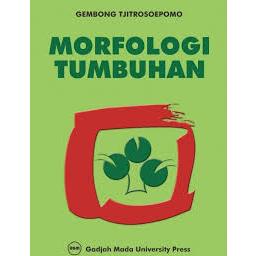 MORFOLOGI TUMBUHAN
