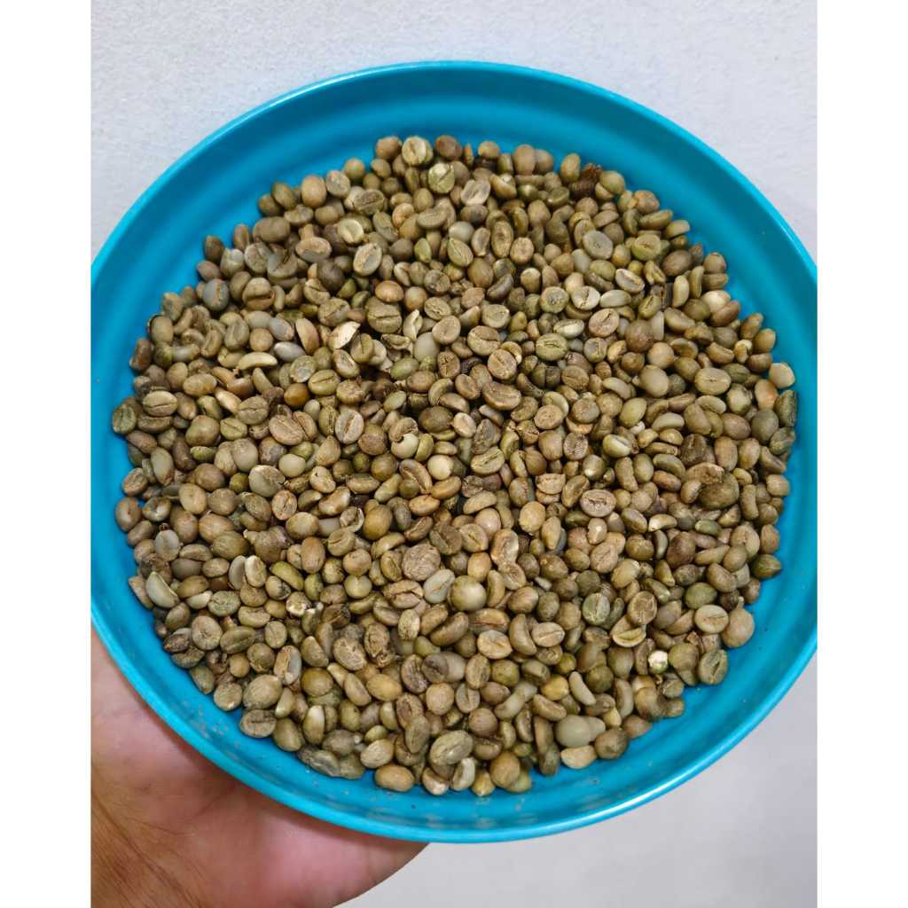 ROBUSTA SIDIKALANG GREENBEAN BIJI KOPI MENTAH