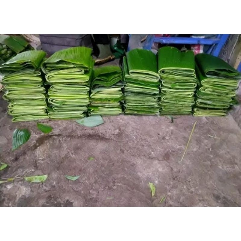 

Daun pisang klutuk 1 ikat isi 500 lembar